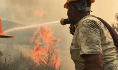 Bodrum’da korkutan yangın