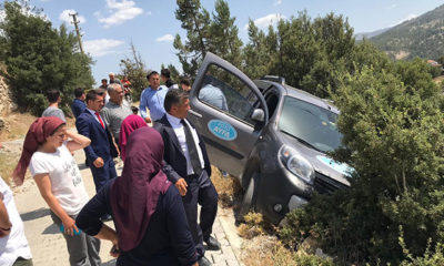 Hafif ticari aracın 150 metrelik uçuruma düşmesini ağaç engelledi