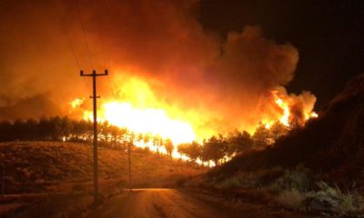 Antalya’da orman yangını