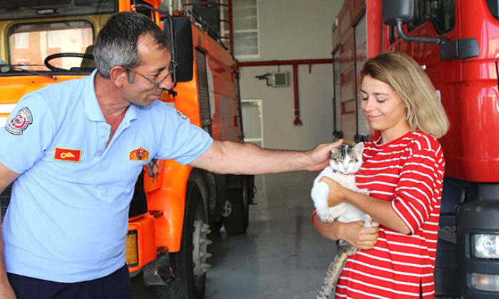 Ağaçta mahsur kalan kedi kurtarıldı