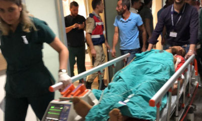 Ayı saldırısına uğrayan çoban yaralandı