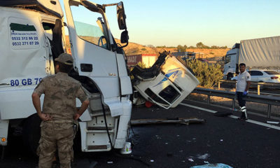 Küçükbaş yüklü TIR’a başka bir TIR çarptı, 3 kişi yaralandı, onlarca hayvan öldü