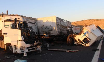 Feci kaza! 3 kişi yaralandı, onlarca hayvan öldü