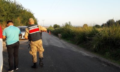 Kavga ettiği kardeşlerden birini öldürdü, diğerini yaraladı