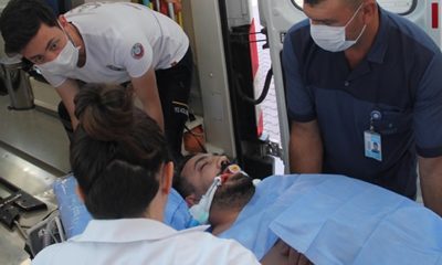 KURBAN KESERKEN ELİNİ ARI SOKTU, YOĞUN BAKIMA ALINDI!.