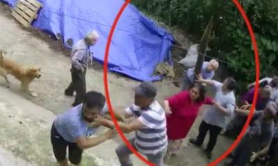 AKRABALARIN ARAZİ KAVGASINDA 5 KİŞİ YARALANDI!..