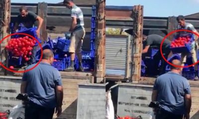 BAYRAMPAŞA SEBZE HALİNDE SKANDAL!. SATAMADIKLARI BİR KAMYON DOMATESİ ÇÖPE ATTILAR!.
