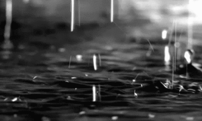 KURBAN BAYRAMI HAVA TAHMİN RAPORU..