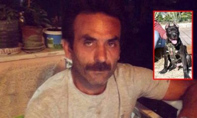 HEKTOR İSİMLİ PİTBULL CİNSİ KÖPEK SAHİBİNİN KOLLARINI PARÇALADI!.