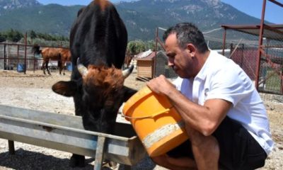 HALUK LEVENT KURBANLIK PAYLAŞIMIYLA GÜLDÜRDÜ!.
