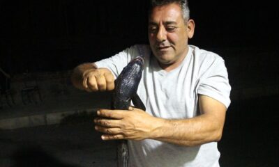 AMATÖR BALIKÇININ OLTASINA TAKILAN BALIK ŞAŞIRTTI!.