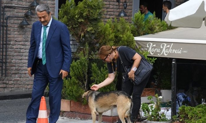 SEVGİLİSİ İLE KÖPEK GEZDİRİP KEYİF ÇATAN PKK DESTEKÇİSİ KADİR İNANIR KÜRT ANNELERİN FERYATLARINI DUYMADI!.