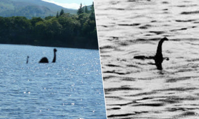 LOCH NESS CANAVARI GERÇEK MİYDİ? BİLİM ADAMLARI AÇIKLADI!.