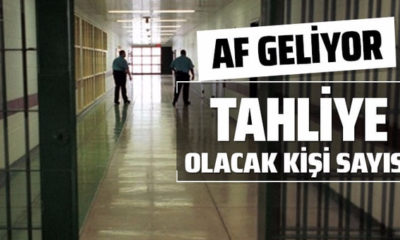 MHP’NİN MECLİS’E TAŞIDIĞI AF YASASI KABUL EDİLİRSE KAÇ KİŞİ TAHLİYE OLACAK?.