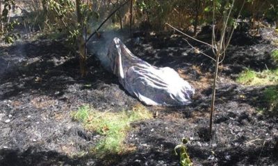 TALİHSİZ KADIN FECİ ŞEKİLDE CAN VERDİ!.