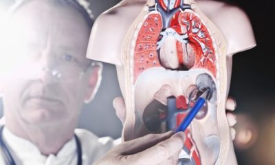 DALAK BÜYÜMESİNİN SEBEPLERİ VE BELİRTİLERİ…