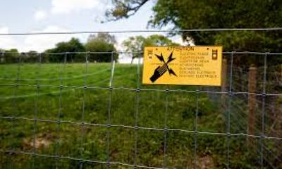 YUNANİSTAN’DAN MÜLTECİLER İÇİN TÜYLER ÜRPERTEN ÖNERİ!. “ÇİTLERE ELEKTRİK VERELİM!”