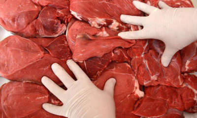 İSTANBUL’DA ET ÜRÜNLERİ ÜRETİM TESİSLERİNE DENETİM…