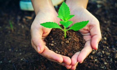 TÜRKİYE GUİNNES REKORLAR KİTABINA GİRDİ!.