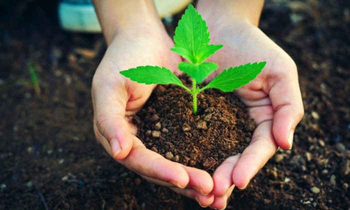 TÜRKİYE GUİNNES REKORLAR KİTABINA GİRDİ!.