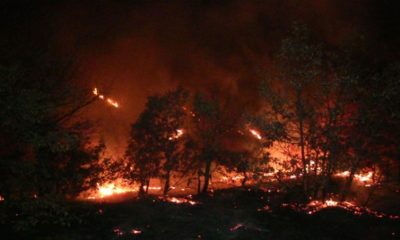 KAHRAMANMARAŞ’TA ORMAN YANGINI…