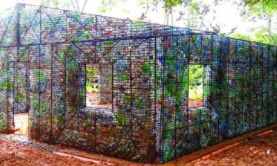 PLASTİK ŞİŞELERDEN KÖY KURDU!.