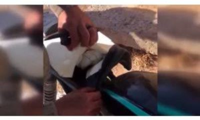 TERÖRİSTLERİN TUZAKLADIĞI MOTOSİKLET ETKİSİZ HALE GETİRİLDİ!.