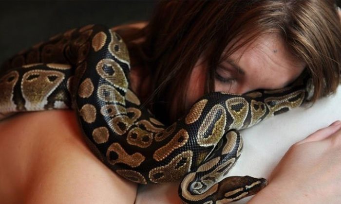 EVİNDE BESLEDİĞİ PİTON YILANI TARAFINDAN BOĞULARAK ÖLDÜRÜLDÜ!.