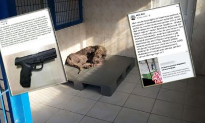 SADİST BELEDİYE ÇALIŞANI GÖZALTINA ALINDI!.