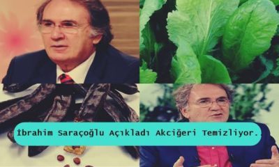 PROF. DR. İBRAHİM SARAÇOĞLU’NDAN AKCİĞER TEMİZLEME KÜRLERİ!.