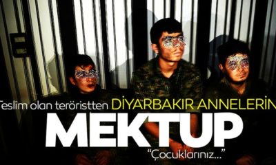 TESLİM OLAN TERÖRİSTTEN DİYARBAKIR ANNELERİNE DESTEK MEKTUBU!.