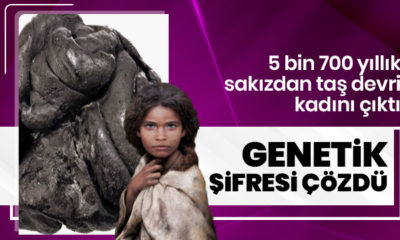 5 bin 700 yıllık sakızın genetik şifresi çözüldü!.