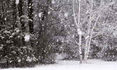 Meteoroloji’den Marmara’ya kar uyarısı!.