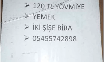 Hiçbir işten anlamayan eleman aranıyor!.