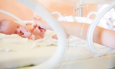 Almanya, Türk ailenin 4 günlük bebeğini ellerinden aldı!.