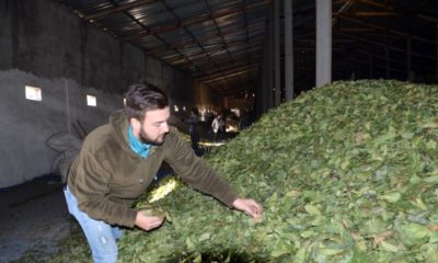 İnternette tesadüfen görüp üretmeye başladı.. Şimdi paraya para demiyor..