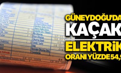 Güneydoğu’da kayıt dışı elektrik kullanımı yüzde 54.9…