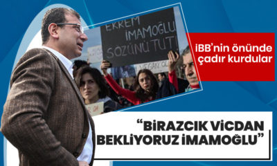 Hayvanseverler İBB önünde çadır kurdu!.