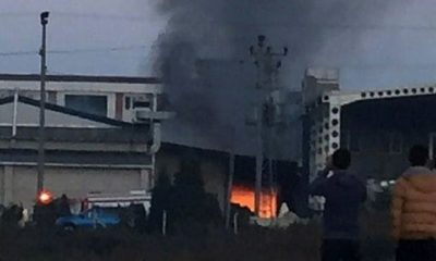 Ordu fındık fabrikasında yangın…
