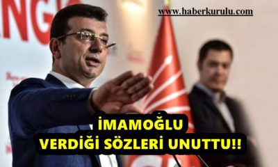 Hayvanseverlerin fayton protestosu sürüyor!.