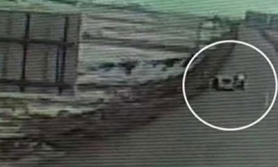 İranlı teröristi Türkiye’ye sokan HDP’li başkan tutuklandı!.