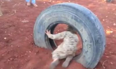 Teröristlerin telefonlarından çıkanlar şoke etti!.