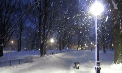 Meteoroliji’den kar yağışı uyarısı!.