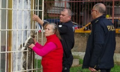 Alçak şerefsizler!. Dehşete düşüren görüntü!.