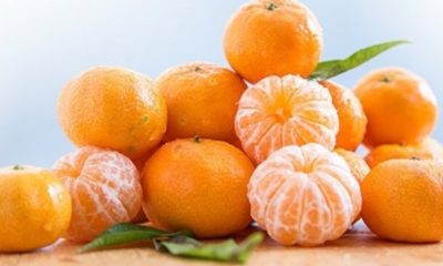 Bir hafta boyunca mandalina yerseniz?.