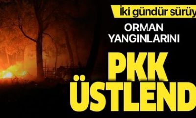 Duydun mu Eyy CHP, Trabzon’daki ormanları şerefsiz kankanız PKK yakmış!.