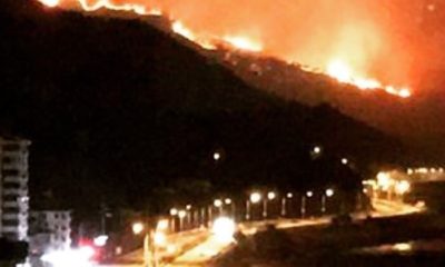 Trabzon’da 10 ilçe de 26 ayrı yangın!. Sabotaj mı var?.