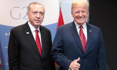 Donald Trump: “Türkiye daha iyisini yapamazdı!.”