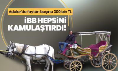 İBB Meclisi’nden son dakika fayton kararı…