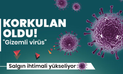 Gizemli virüs salgını büyüyor!.